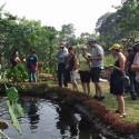  A talapia pond from a sustainment initiative started by the CCDA in Rio de Quix
